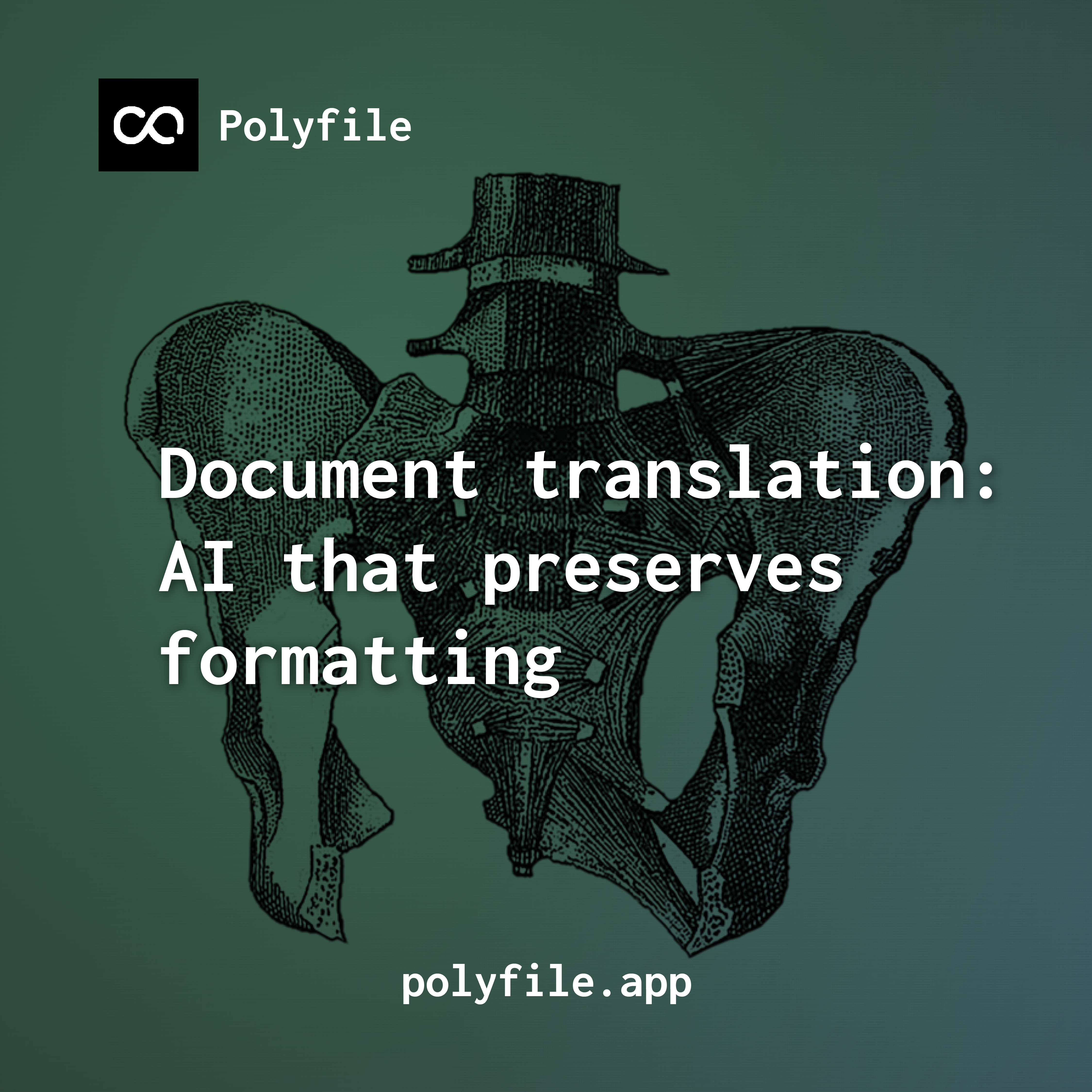 Document Translation That Preserves Your Formatting Image